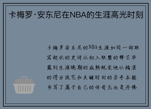 卡梅罗·安东尼在NBA的生涯高光时刻